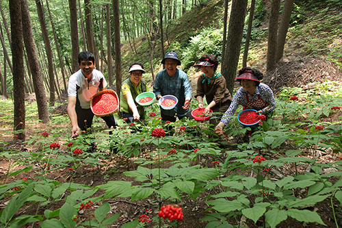 빼재웰니스밸리 전경 1